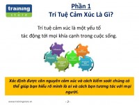 Tri-tue-cam-xuc