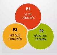 3P là gì? Phương pháp 3P trong quản lý nhân sự hiểu như thế nào?