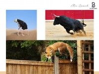 Doanh nghiệp cần làm gì thời Covid19