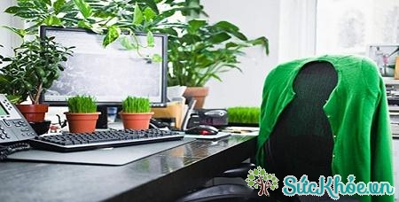 lên tinh thần làm việc sau tết 04